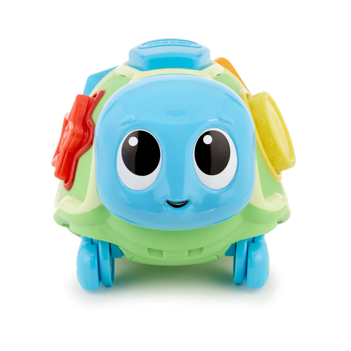 Crawl 'n Pop! Turtle